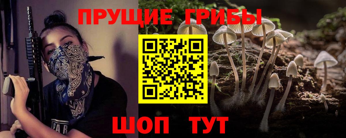 Псилоцибиновые грибы MAGIC MUSHROOMS  Вход с VPN  Видное  Псилоцибиновые грибы прущие грибы 