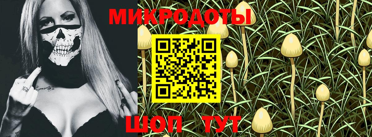 Галлюциногенные грибы мицелий Видное